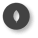 mongodb logo